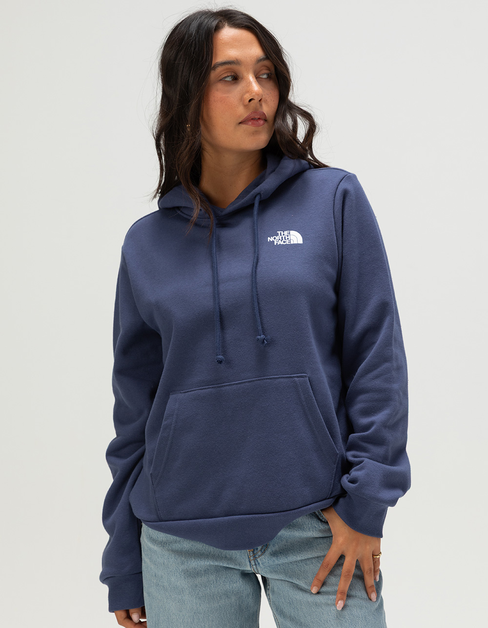 THE NORTH FACE Evolution Gradient Womens Hoodie - DUSTY BLUE
