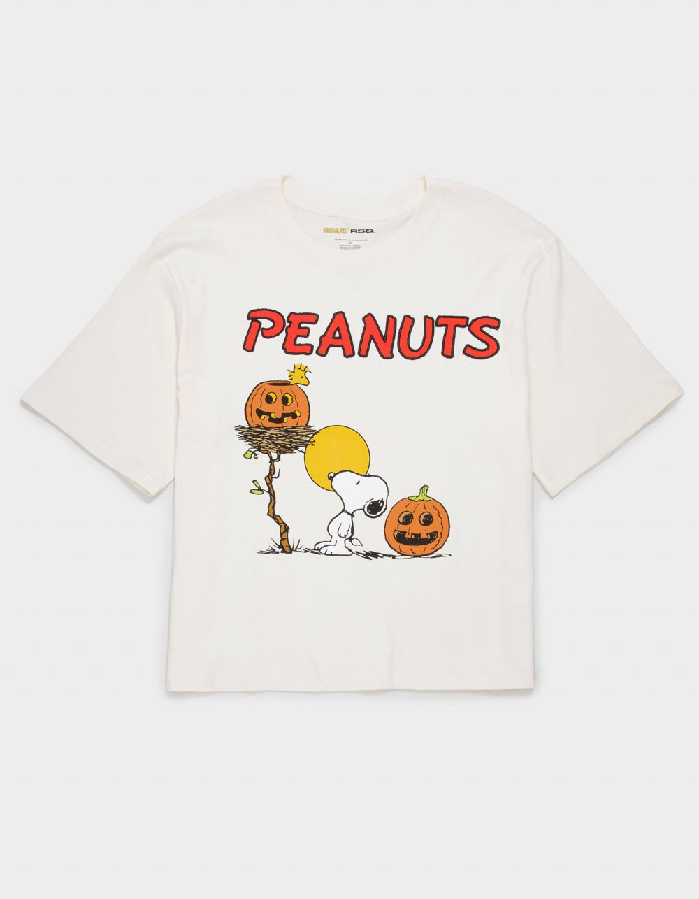 RSQ x Peanuts Pumpkins Mens Boxy Tee - OFF WHITE