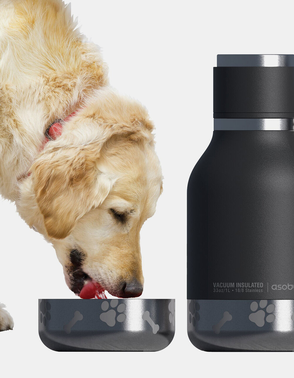 ASOBU Dog Bowl Black Bottle BLACK Tillys