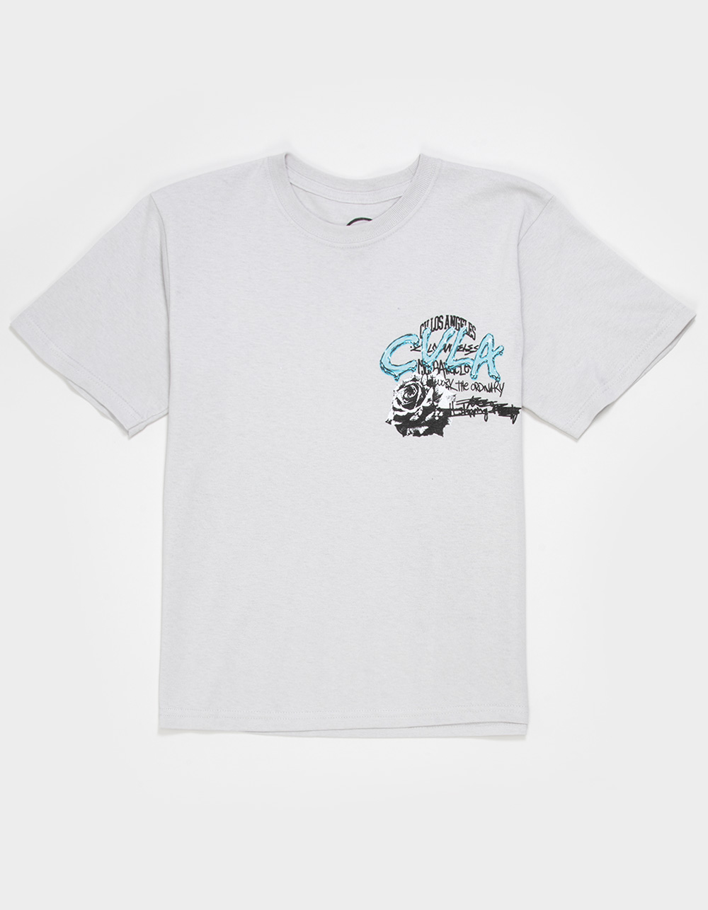 CVLA Zoom Through Boys Tee - GRAY