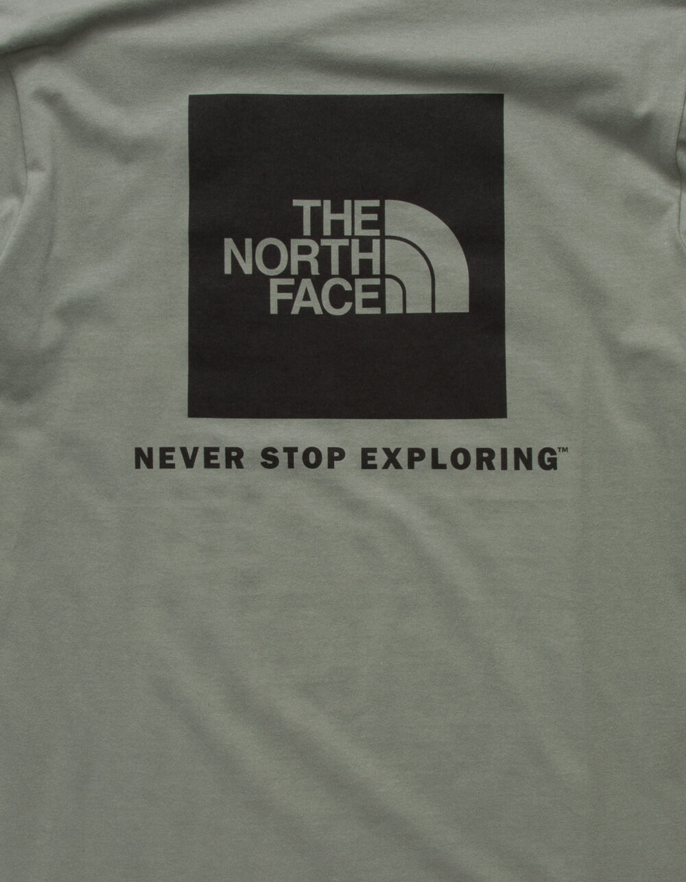 THE NORTH FACE Box NSE Mens T-Shirt - OLIVE | Tillys
