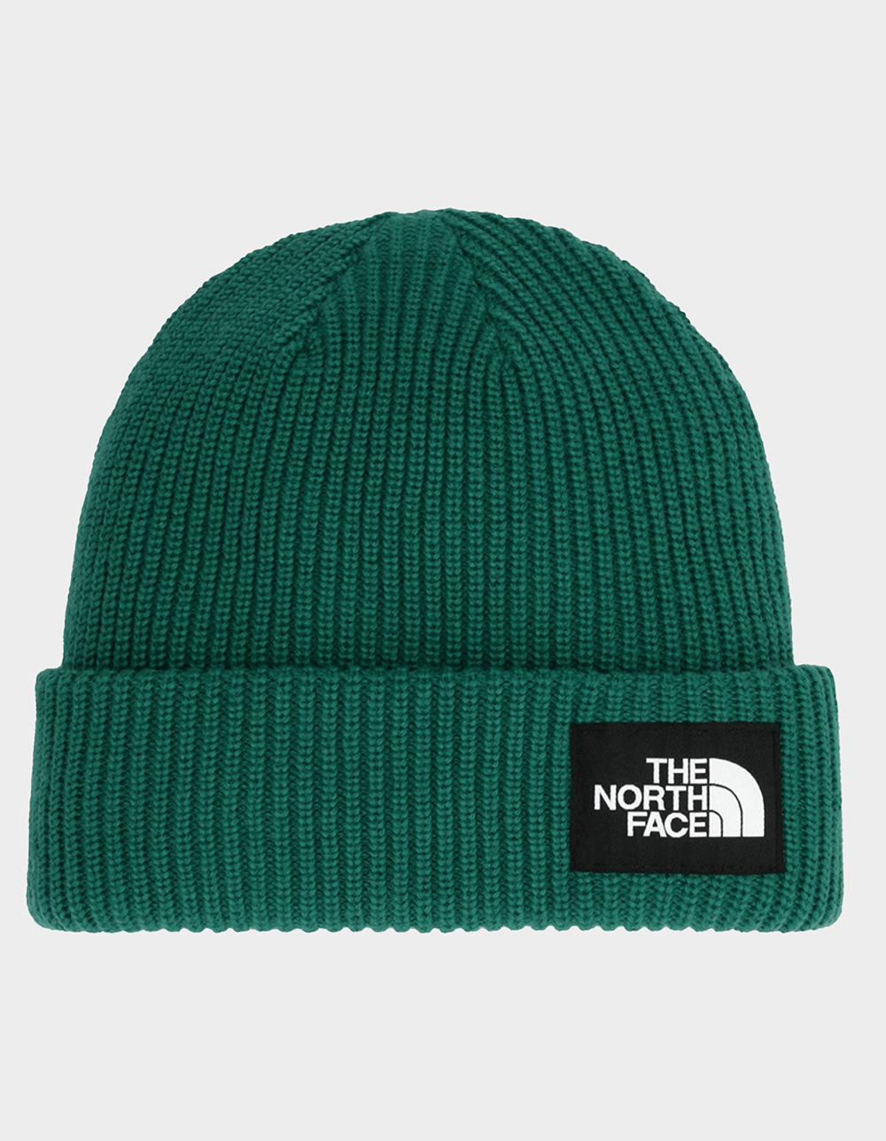 THE NORTH FACE Salty Lined Beanie - DK GREEN