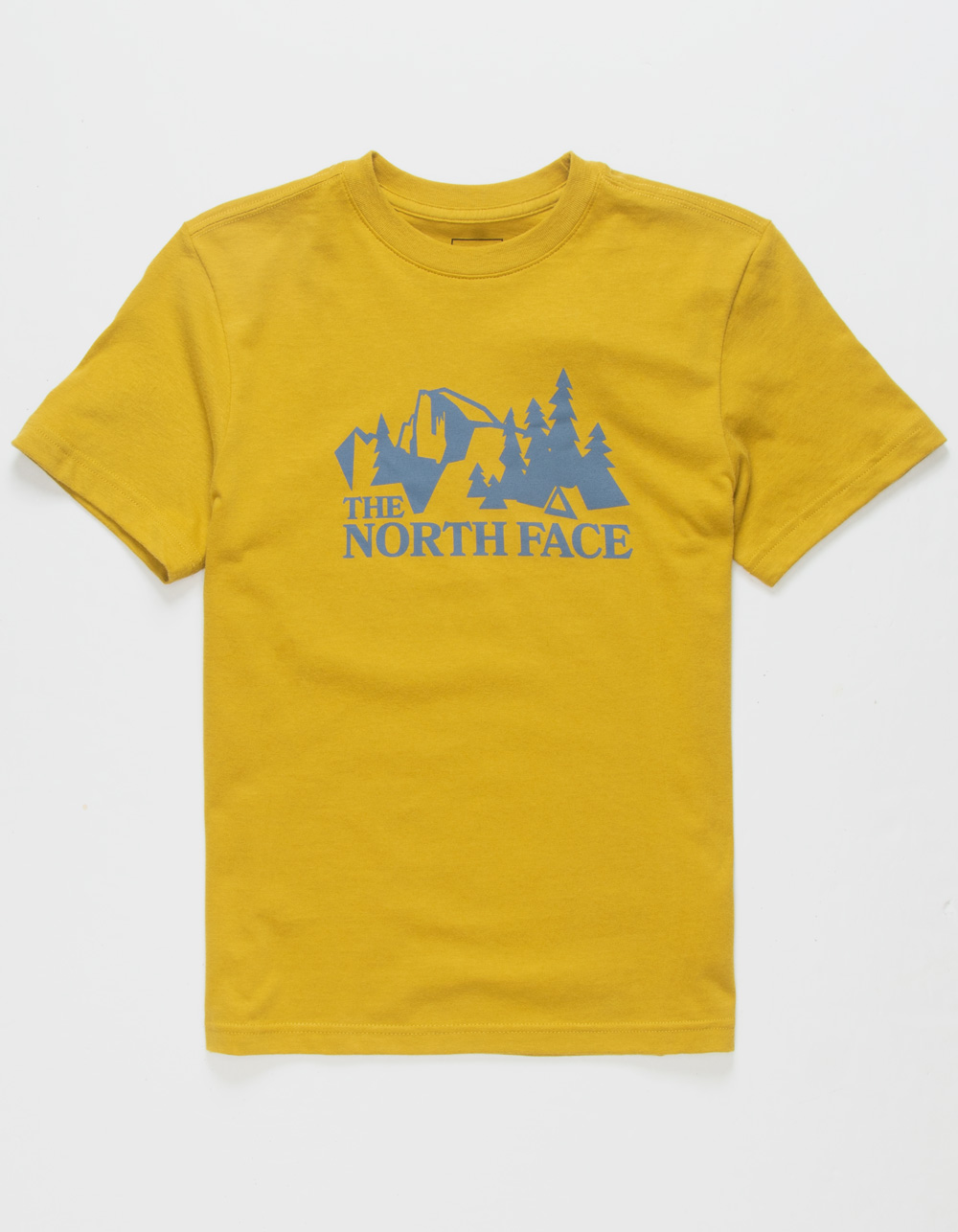 ripley the north face