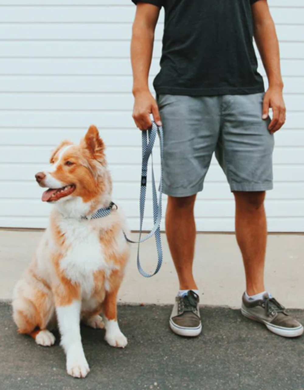 TETHER Dog Leash CHECKER Tillys