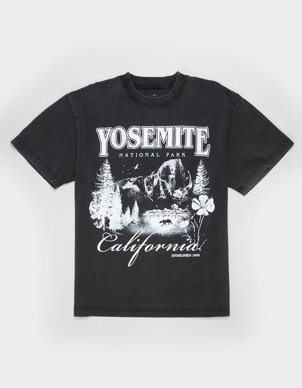 RSQ Mens Yosemite Boxy Tee - WASHED BLACK