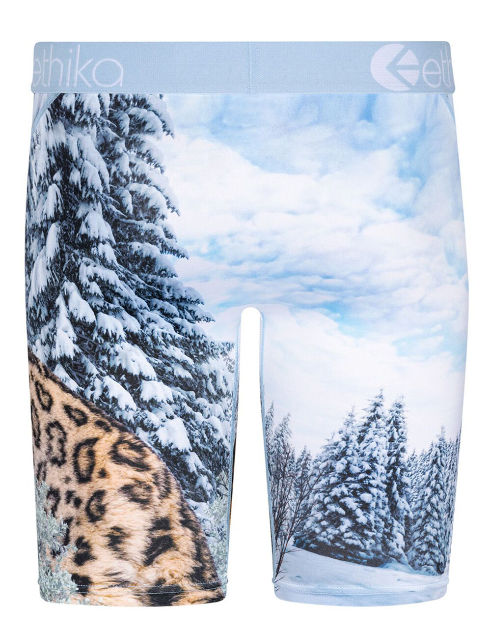 ethika-pay-up-boys-boxer-briefs-multi-tillys
