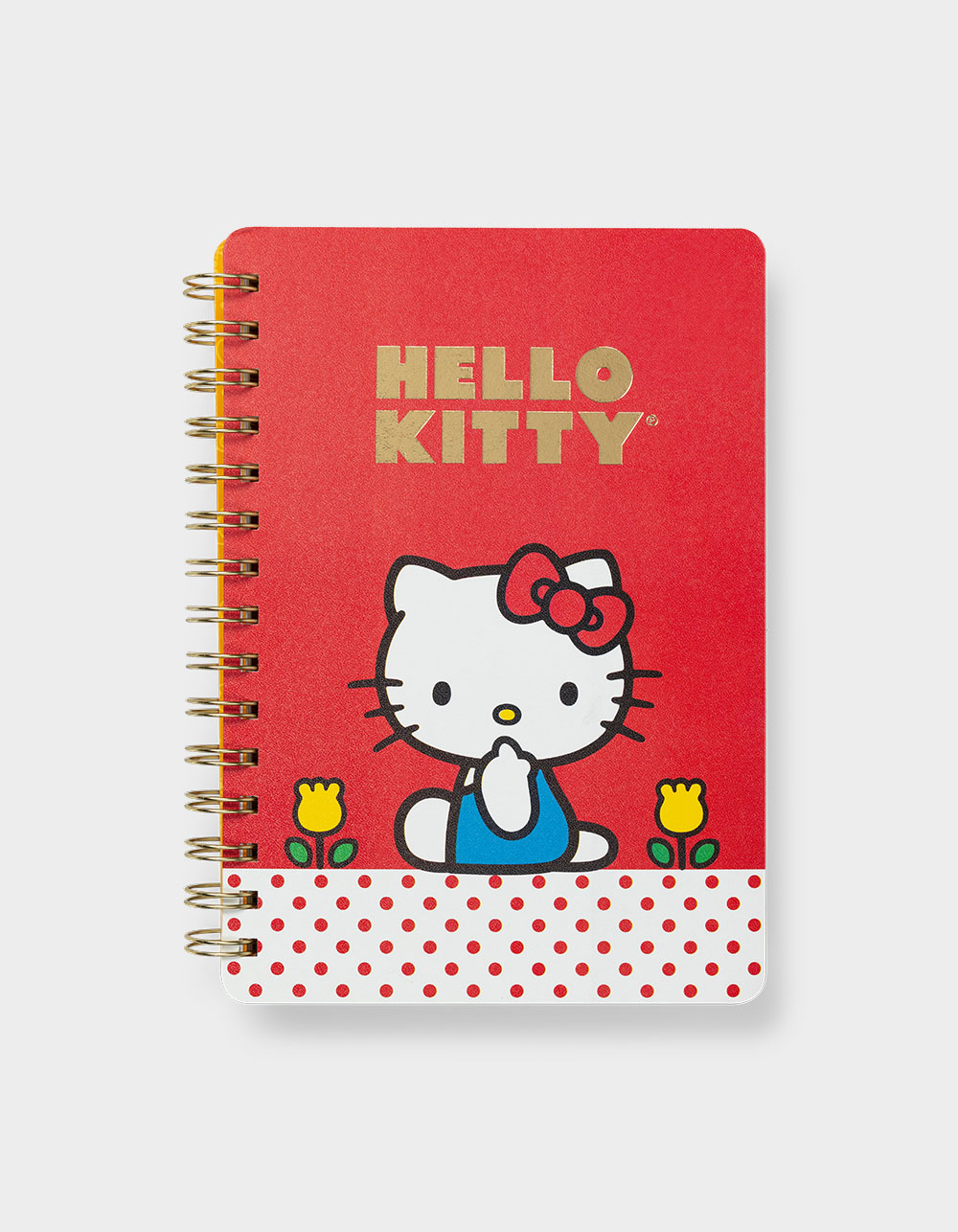 STUDIO OH! x Sanrio Retro Hello Kitty Agatha Notebook with Sticker Sheet - MULTI