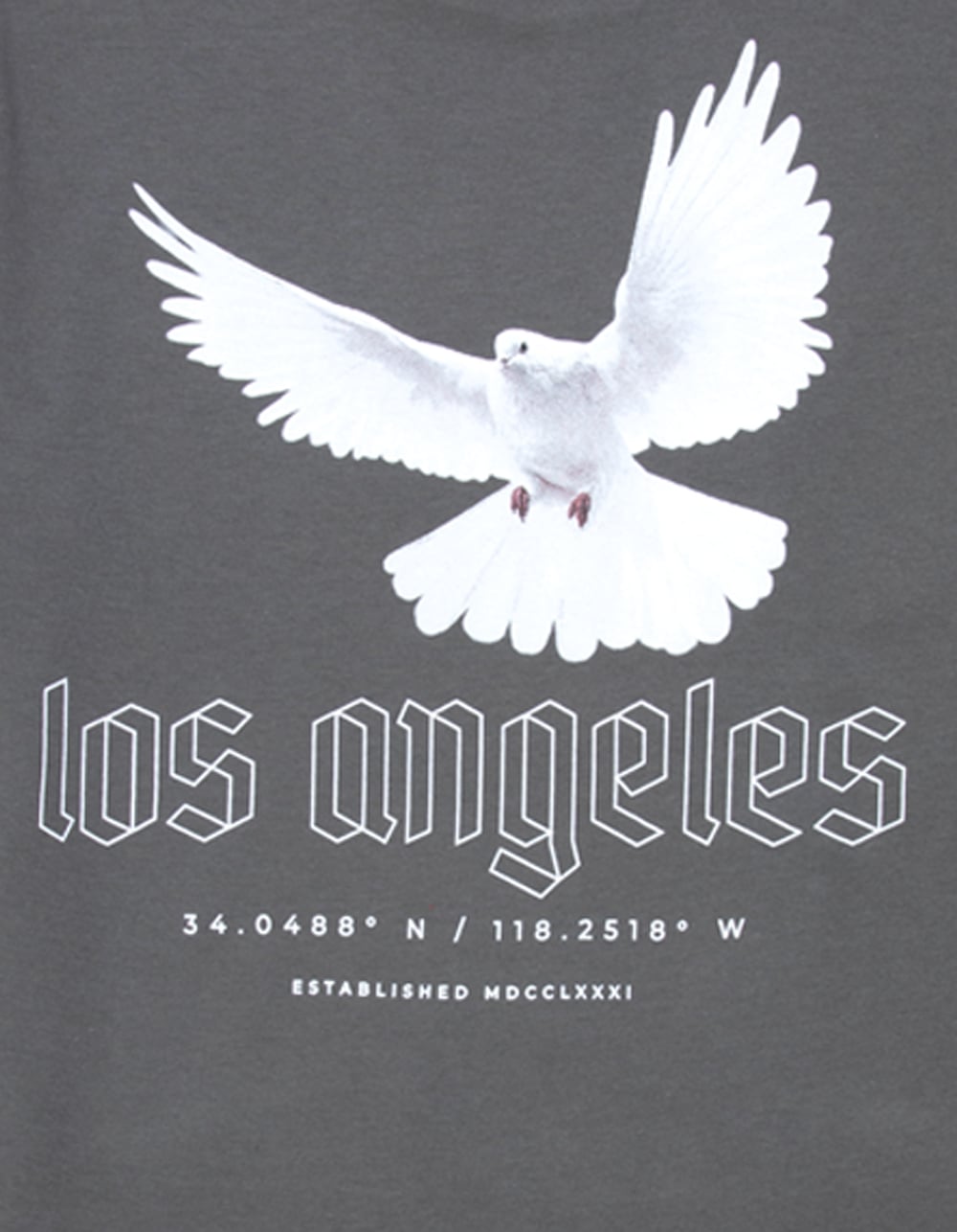 9TH LIFE Los Angeles Boys Tee - CHARCOAL