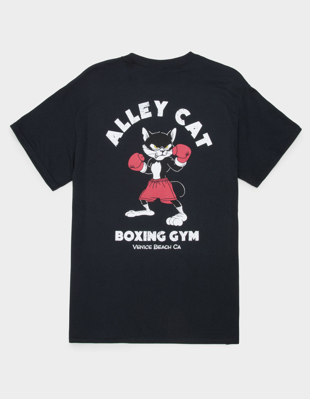 9TH LIFE Alley Cat Mens Tee - BLACK