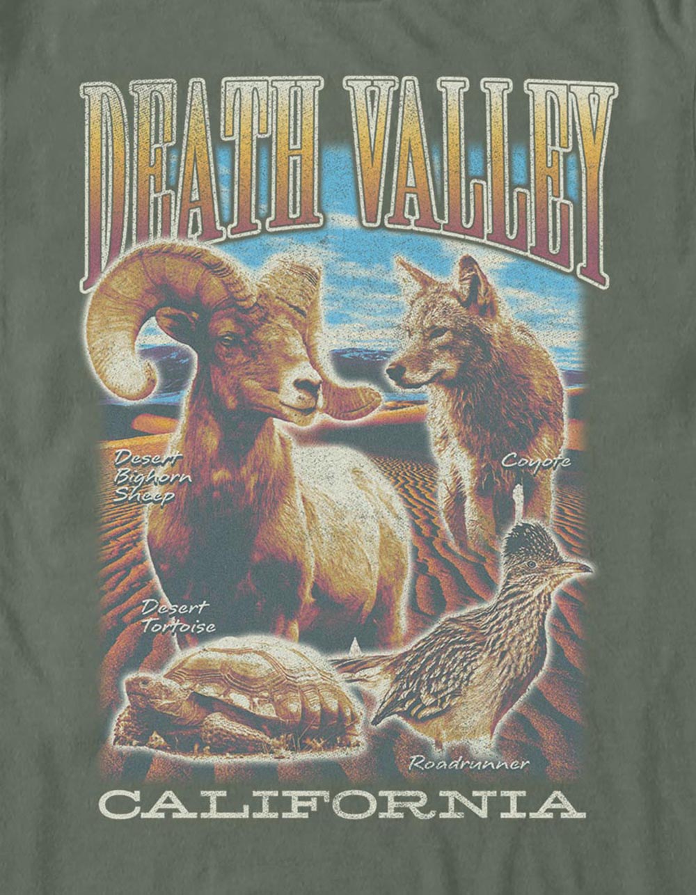 CALIFORNIA Death Valley Unisex Tee - SAGE