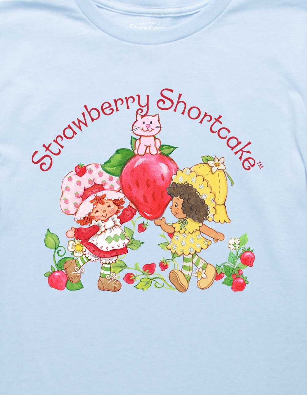 STRAWBERRY SHORTCAKE Orange Blossom Share Unisex Kids Tee - LIGHT BLUE
