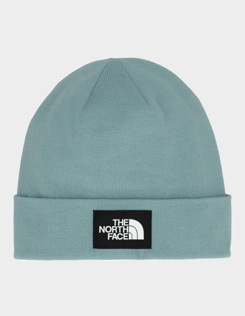 THE NORTH FACE Dock Worker Beanie - LAKE BLUE