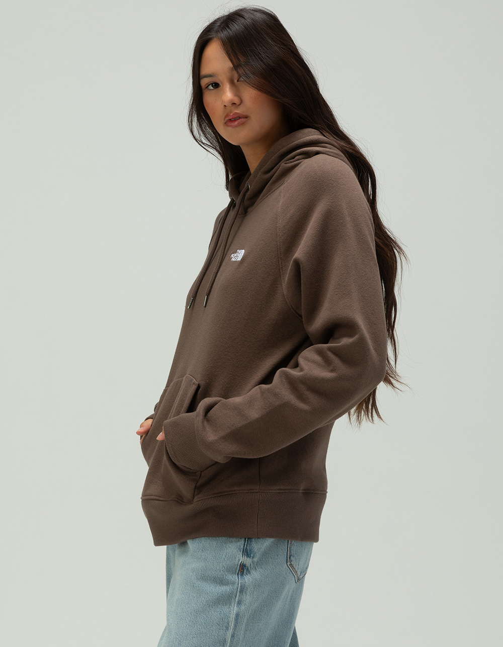 THE NORTH FACE Evolution Womens Hoodie - BROWN