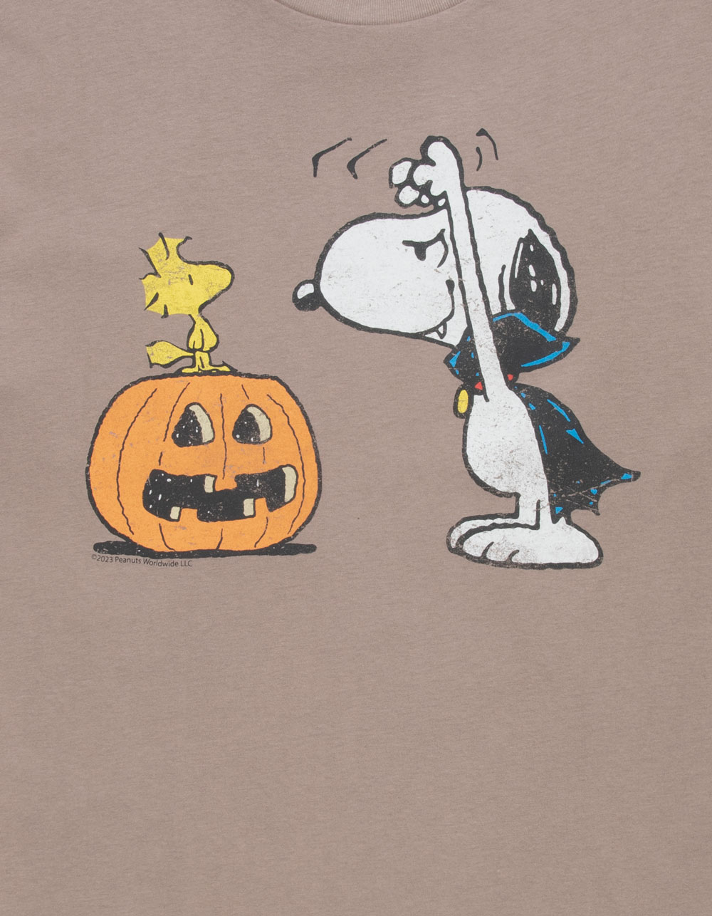 RSQ x Peanuts Mens Snoopy's Spooktacular Halloween Oversized Tee