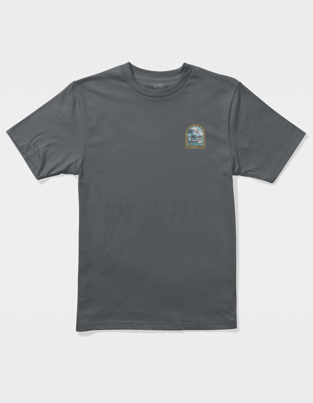 SALTY CREW Archway Mens Tee - CHARCOAL