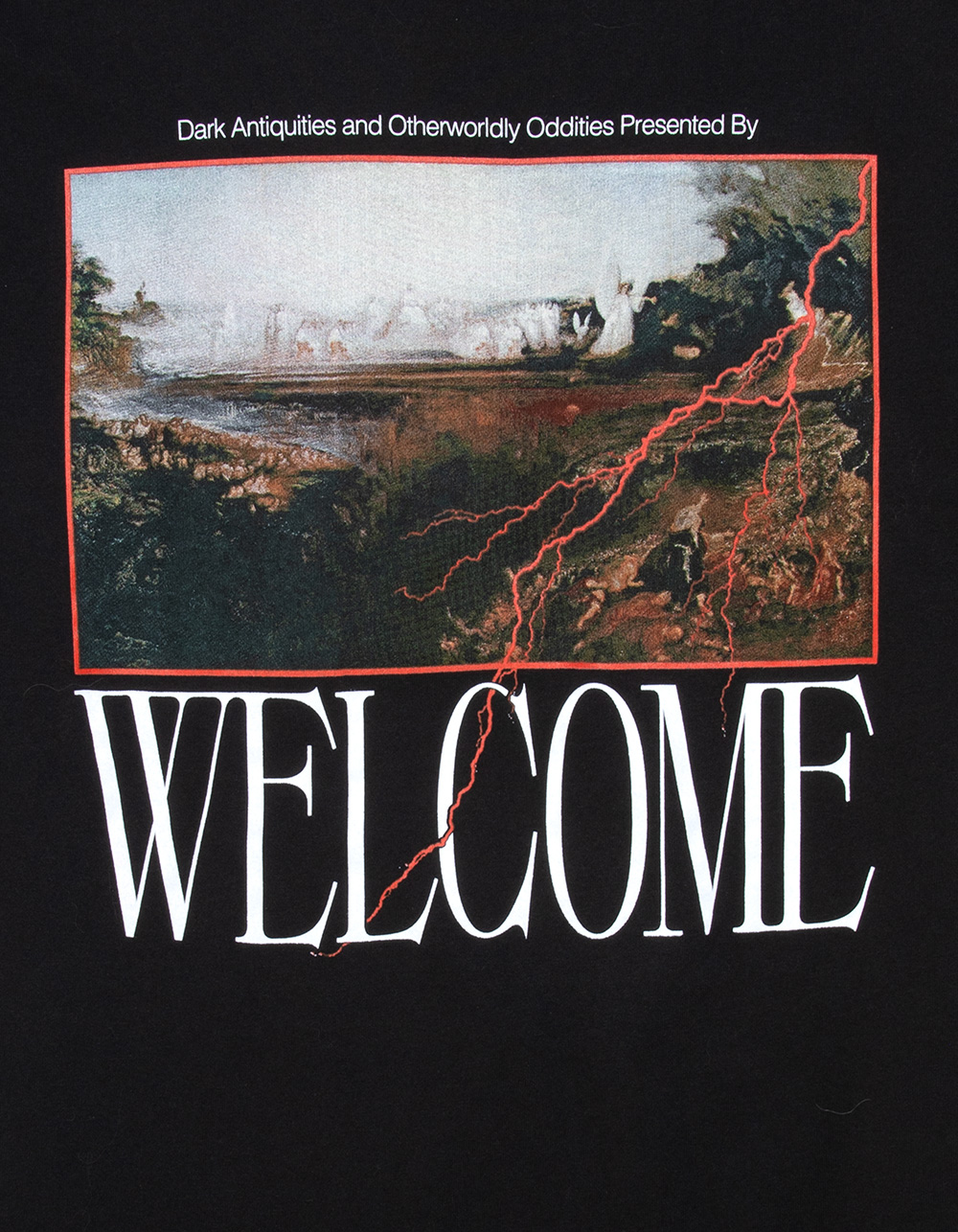 WELCOME SKATEBOARDS Antiquities Mens Boxy Tee - BLACK