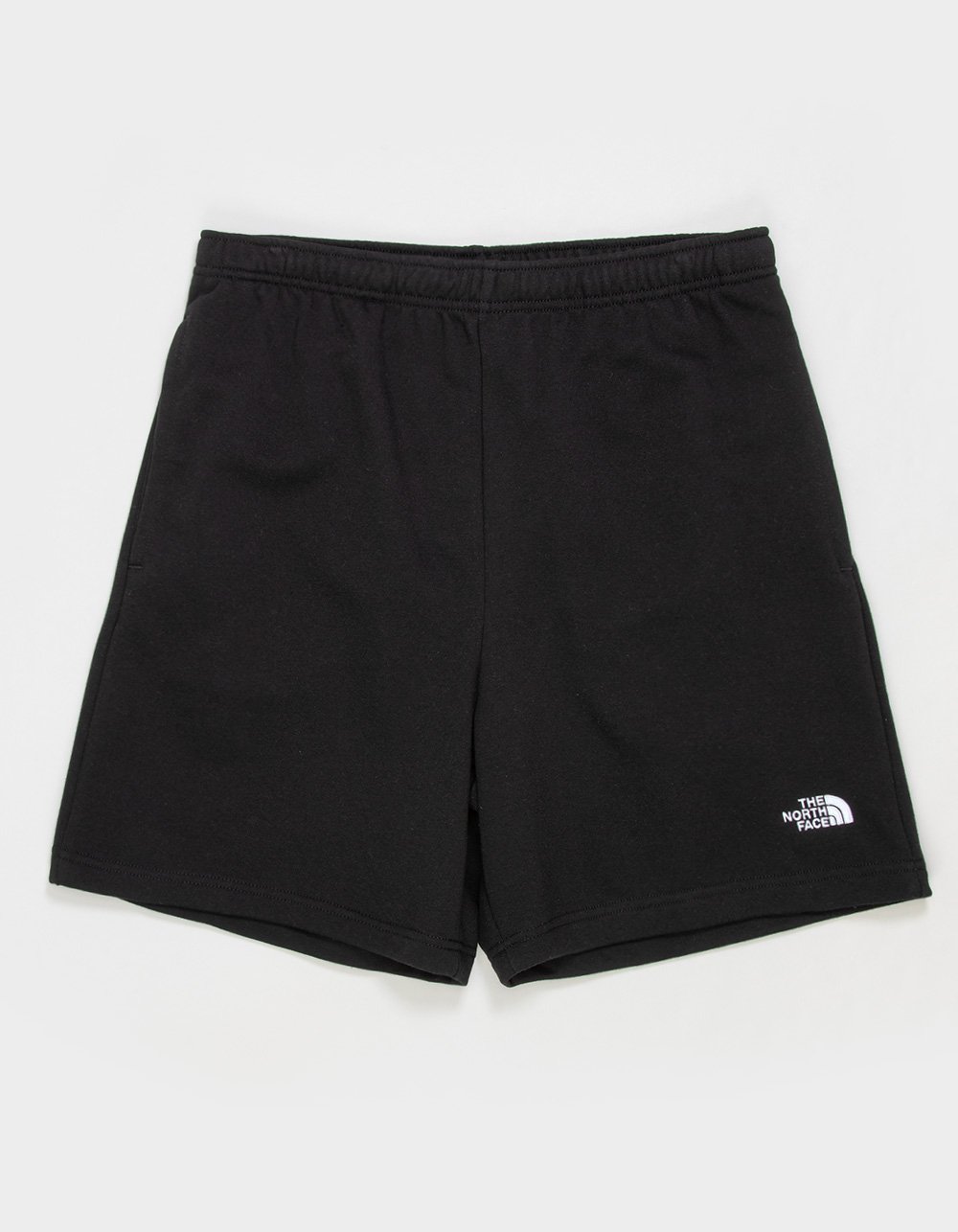 THE NORTH FACE Evolution Simple Dome Mens Shorts