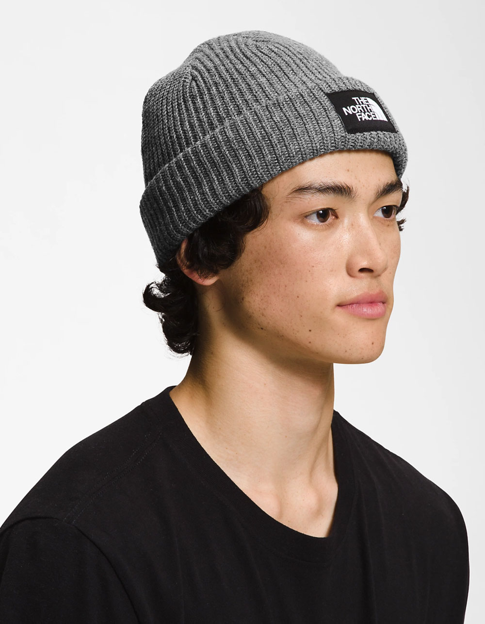THE NORTH FACE Salty Dog Beanie GRAY Tillys