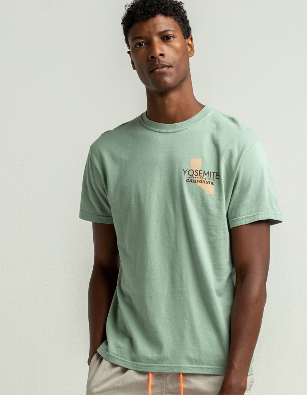 Yosemite Mens T-Shirt - SAGE | Tillys