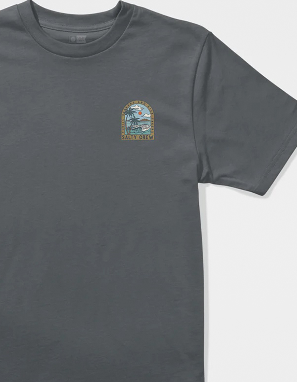 SALTY CREW Archway Mens Tee - CHARCOAL