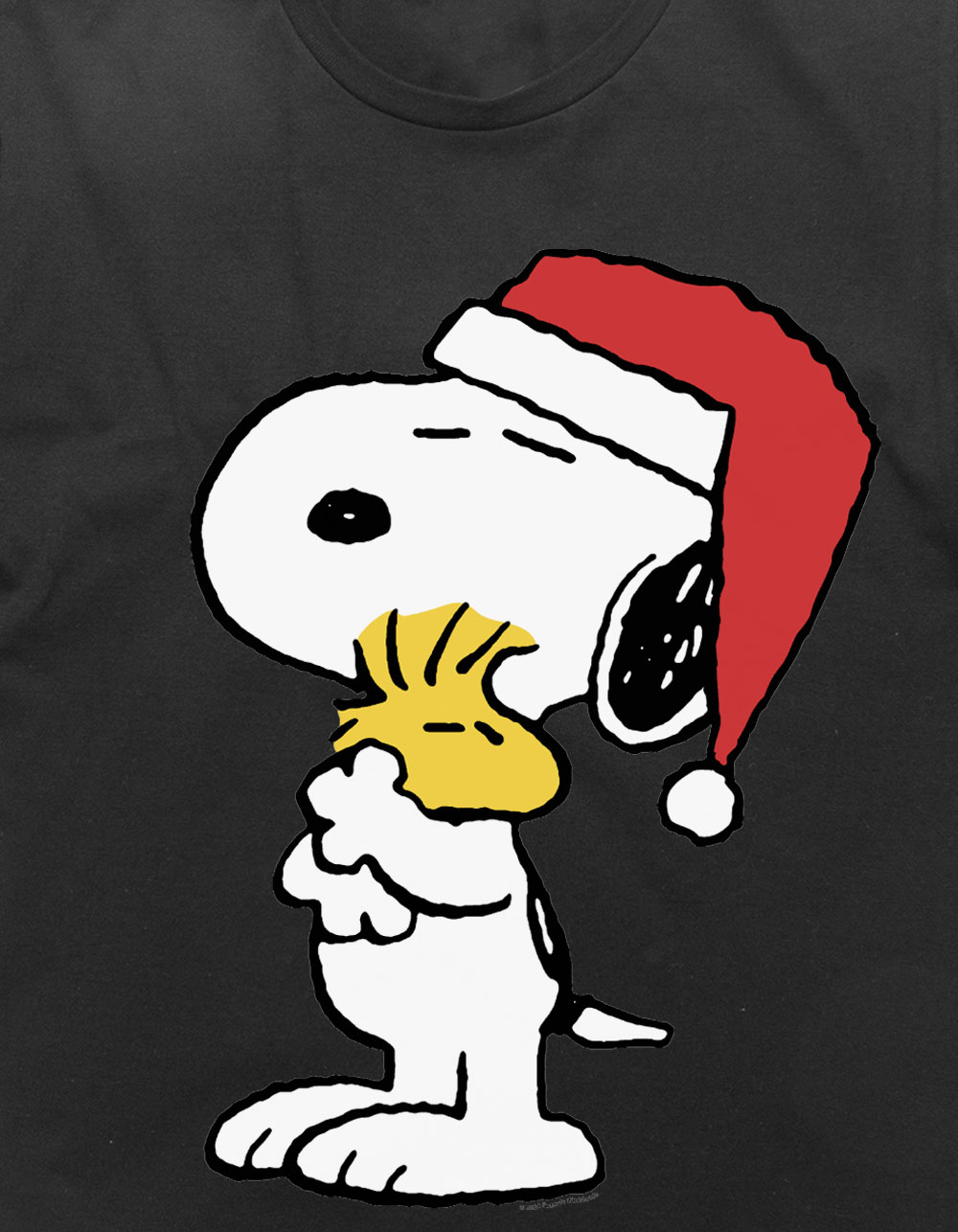 PEANUTS Holiday Hugs Unisex Tee - BLACK
