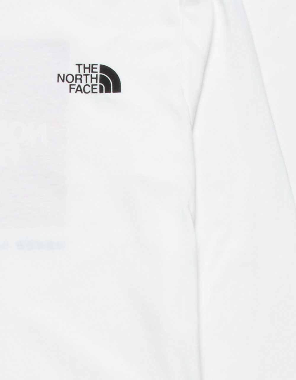 THE NORTH FACE Graphic Boys Long Sleeve Tee - WHITE | Tillys