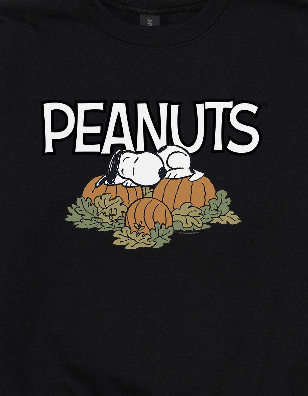 PEANUTS Pumpkin Snoopy Nap Unisex Kids Crewneck Sweatshirt - BLACK