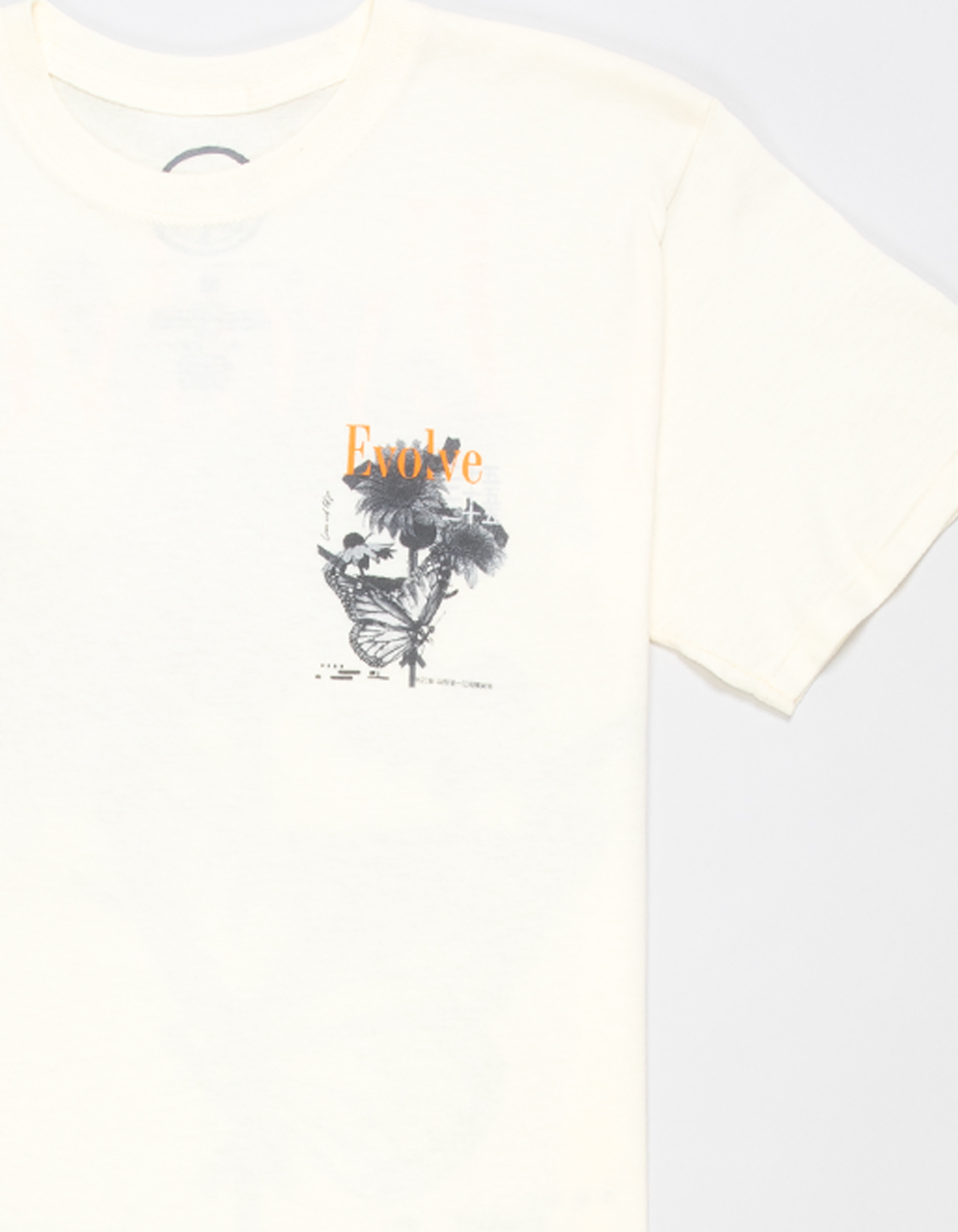 CVLA Evolving Butterfly Boys Tee - CREAM