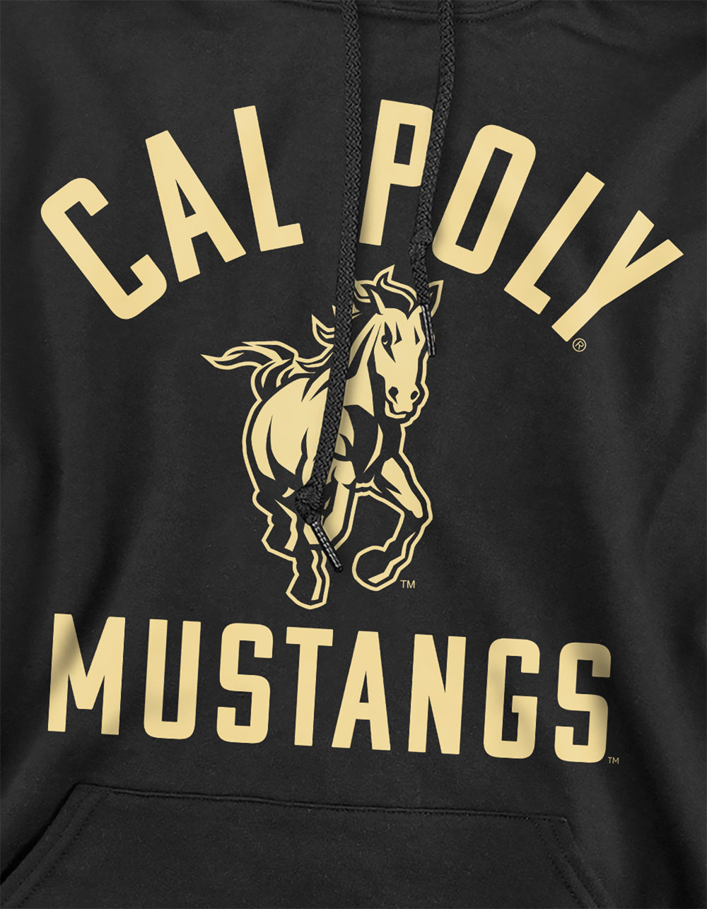 CALIFORNIA POLYTECHNIC STATE UNIVERSITY Logo Mens Hoodie