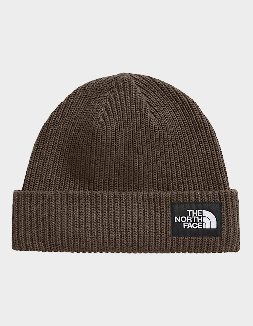 THE NORTH FACE Salty Lined Beanie