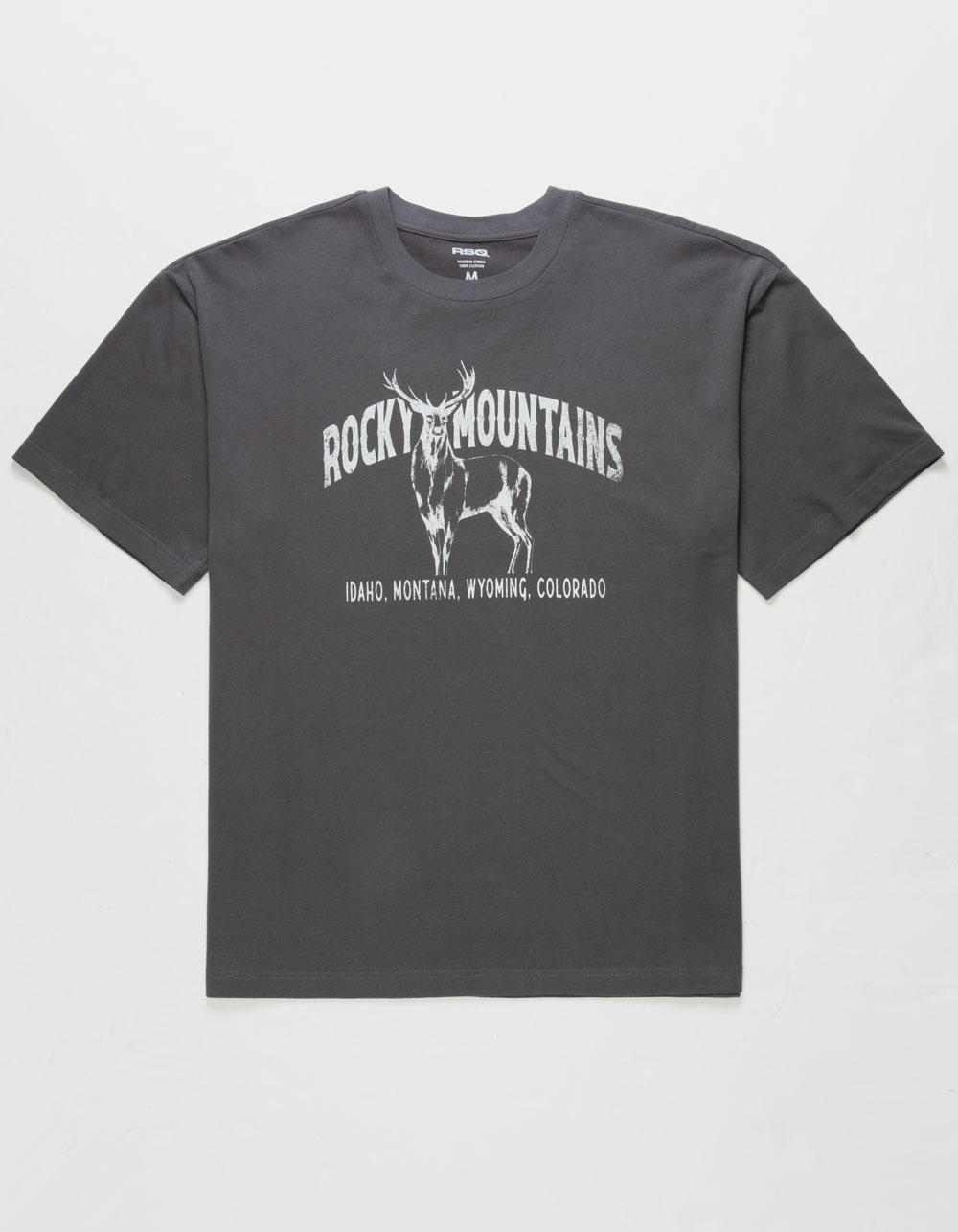 RSQ Mens Oversized Rocky Mountain Tee