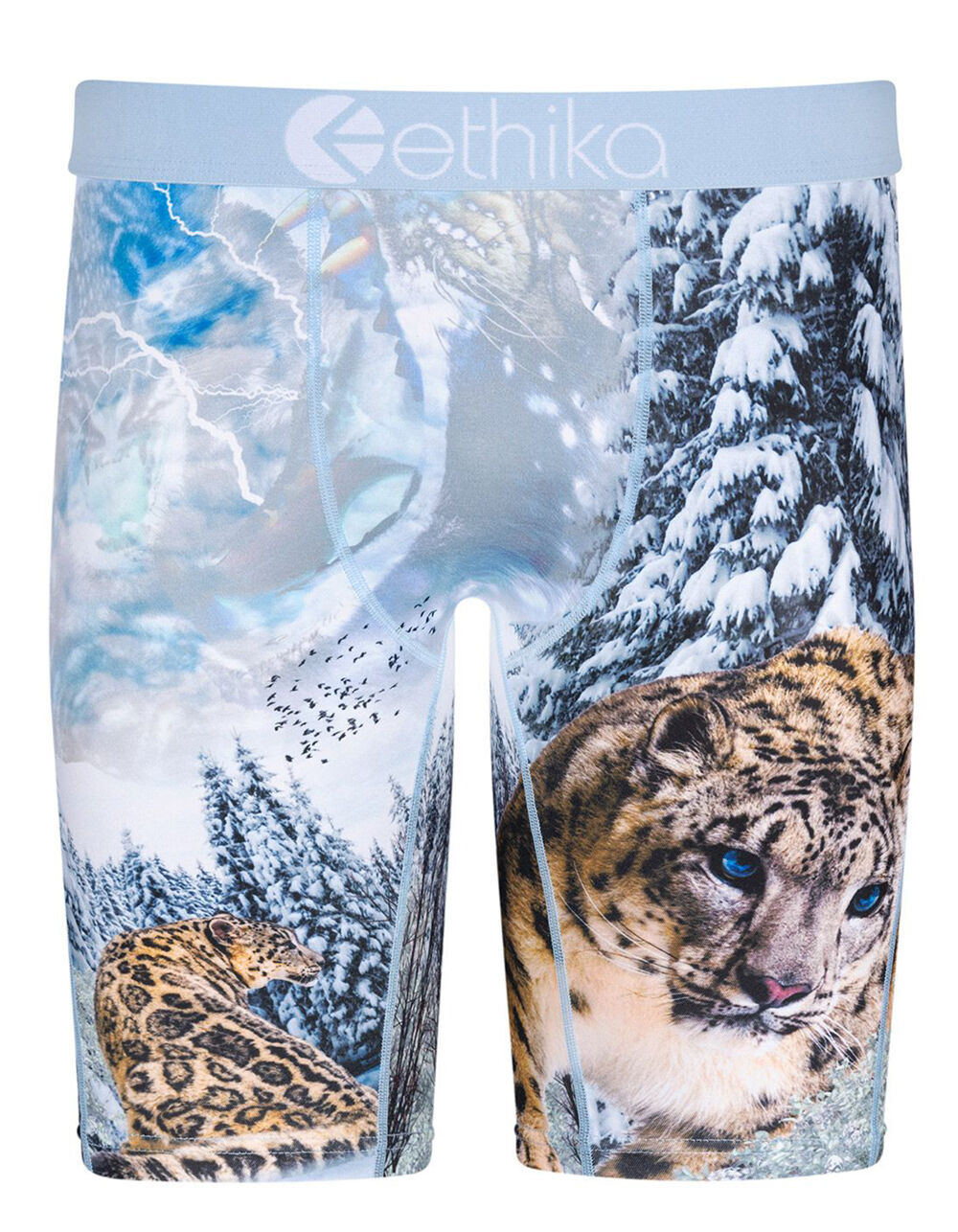 ethika-pay-up-boys-boxer-briefs-multi-tillys
