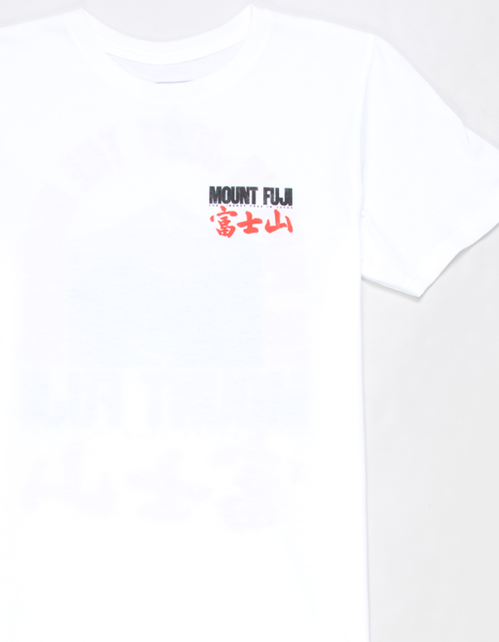 PLEASANT GETAWAY Mount Fuji Boys Tee - WHITE
