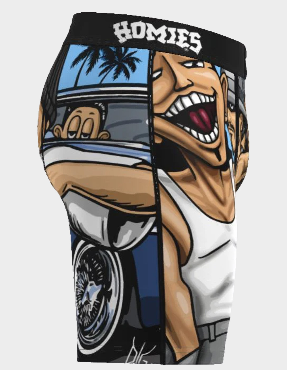 DGA Homie Wants You Mens Boxer Briefs - MULTI