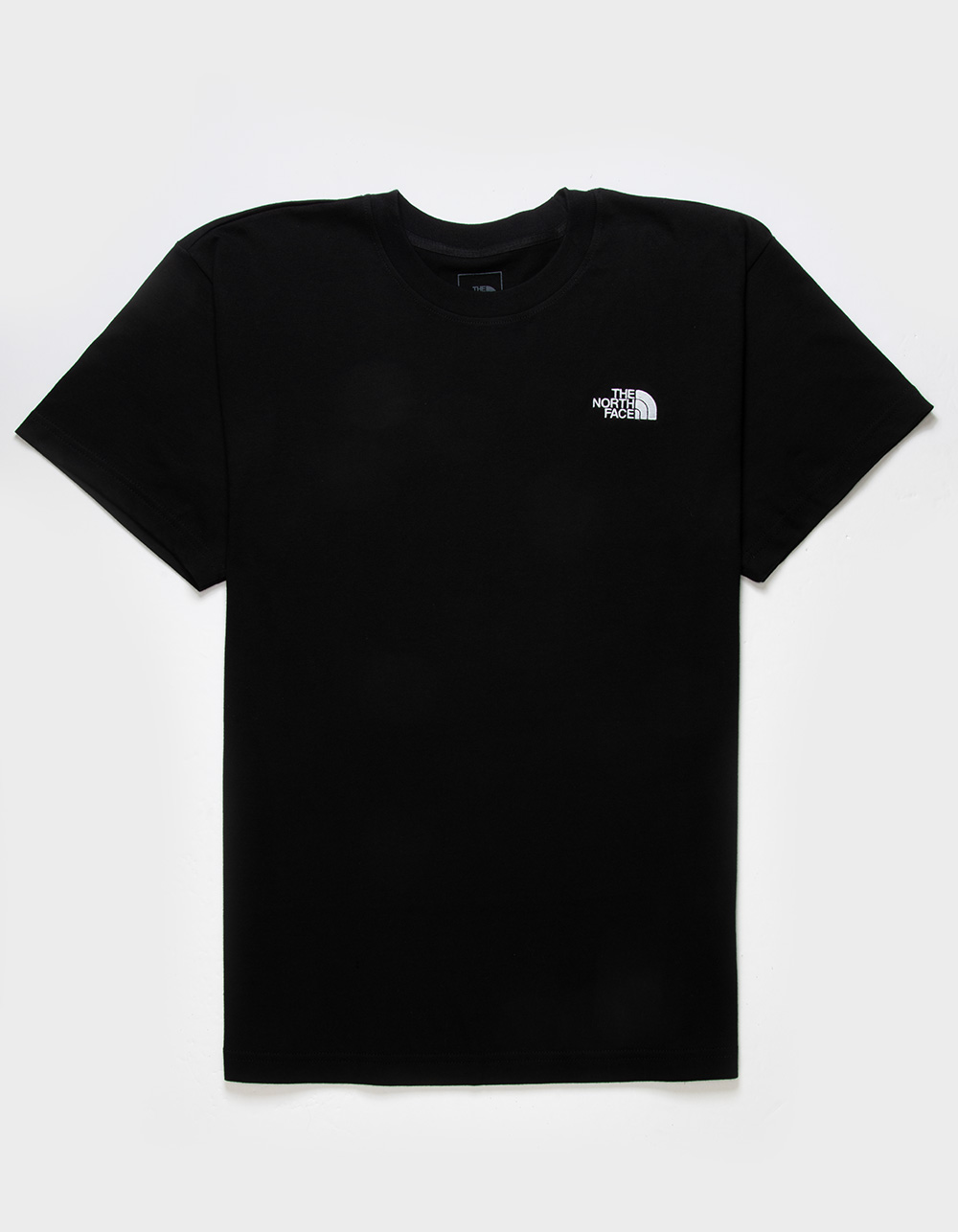 THE NORTH FACE Evolution Box Fit Mens Tee