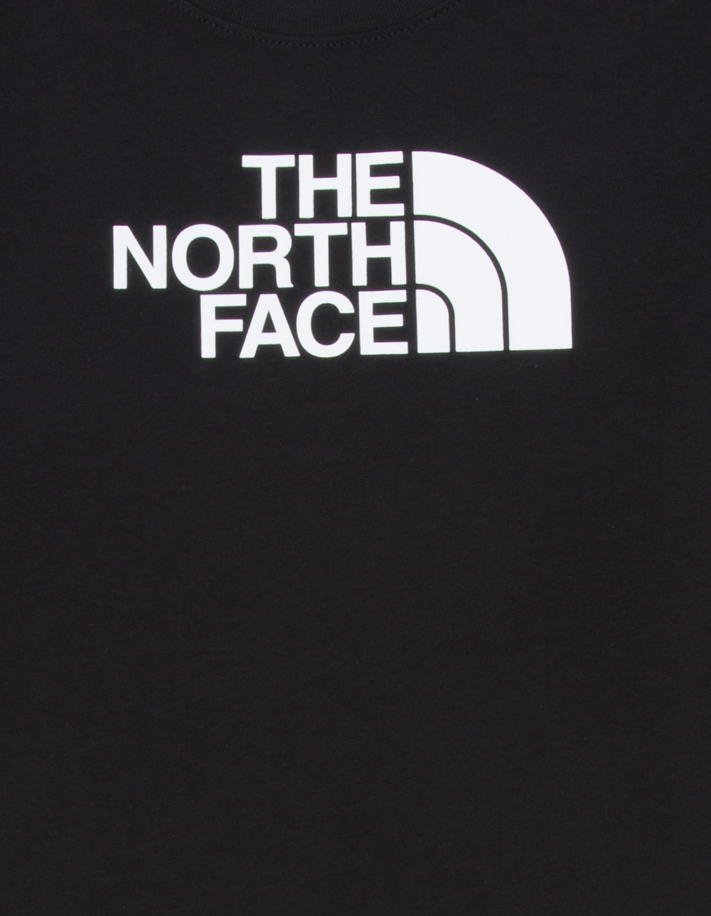 THE NORTH FACE Evo Half Dome Boys Tee - BLACK