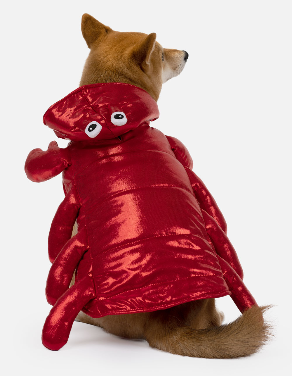 SILVER PAW Lobster Costume