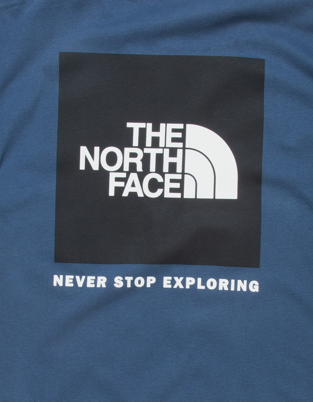 THE NORTH FACE NSE Box Mens Tee - BLUE | Tillys