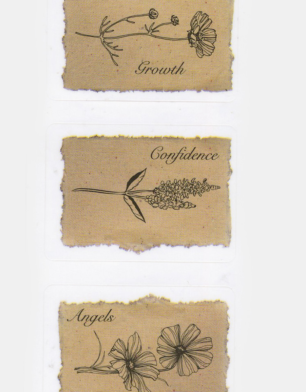Flower Word Sticker - NATURAL