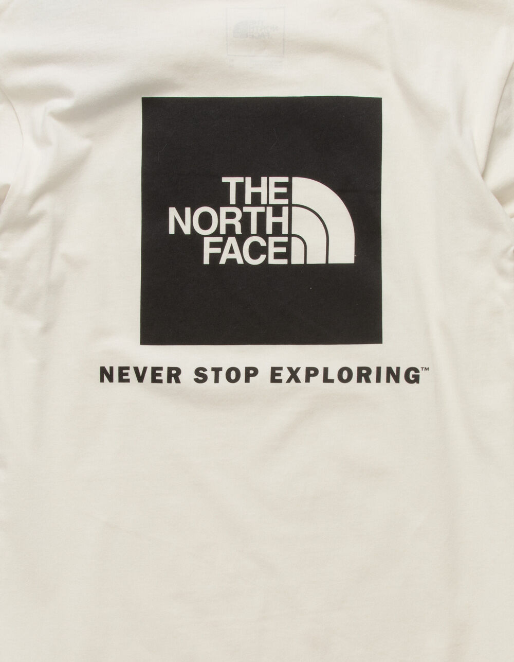 THE NORTH FACE Box NSE Mens T-Shirt - OFF WHITE | Tillys