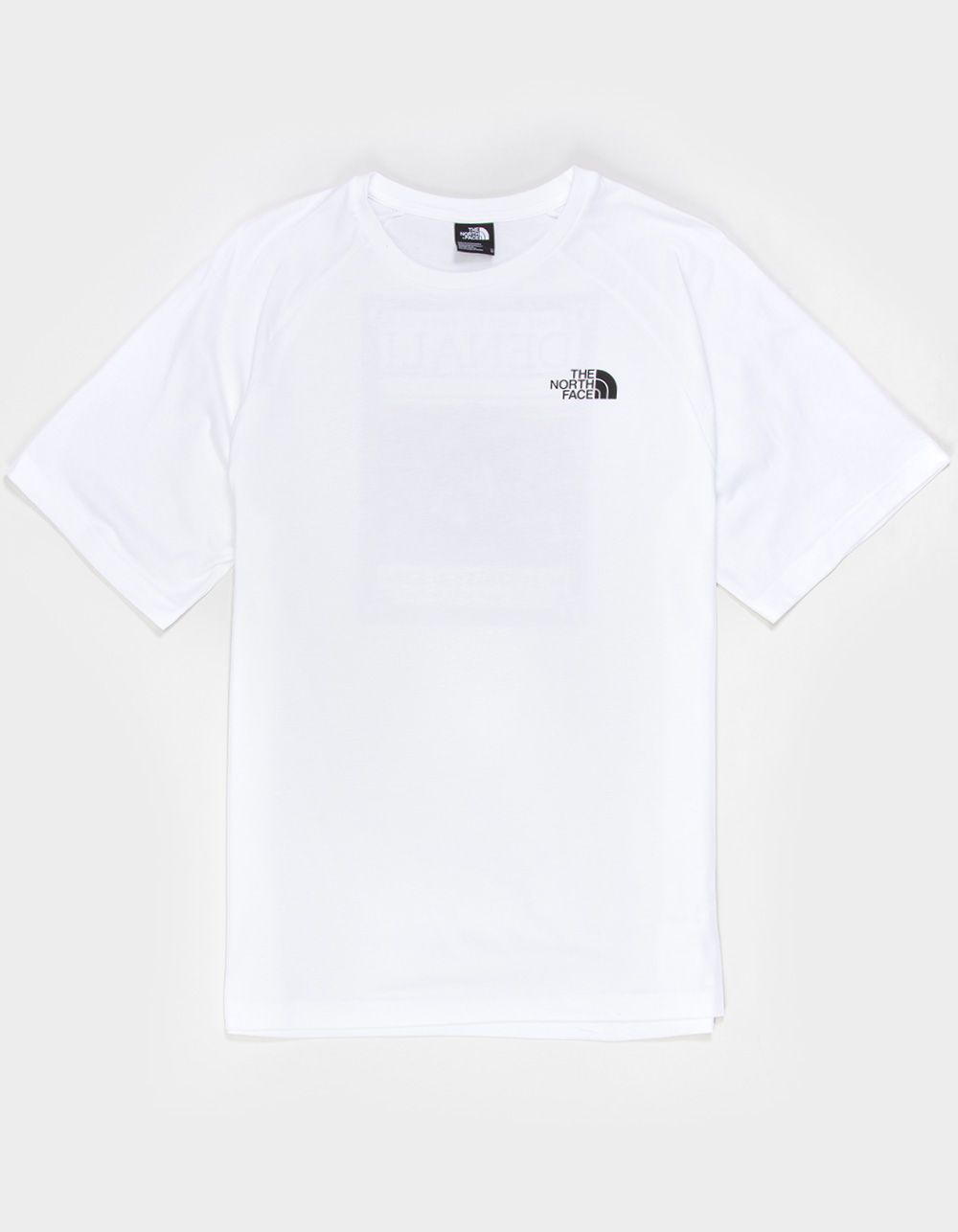 THE North FACE Faces Mens Tee - WHITE