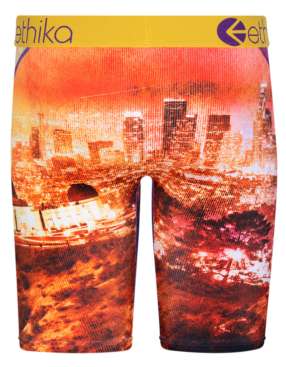 ETHIKA City Strong Staple Boys Boxer Briefs MULTI Tillys