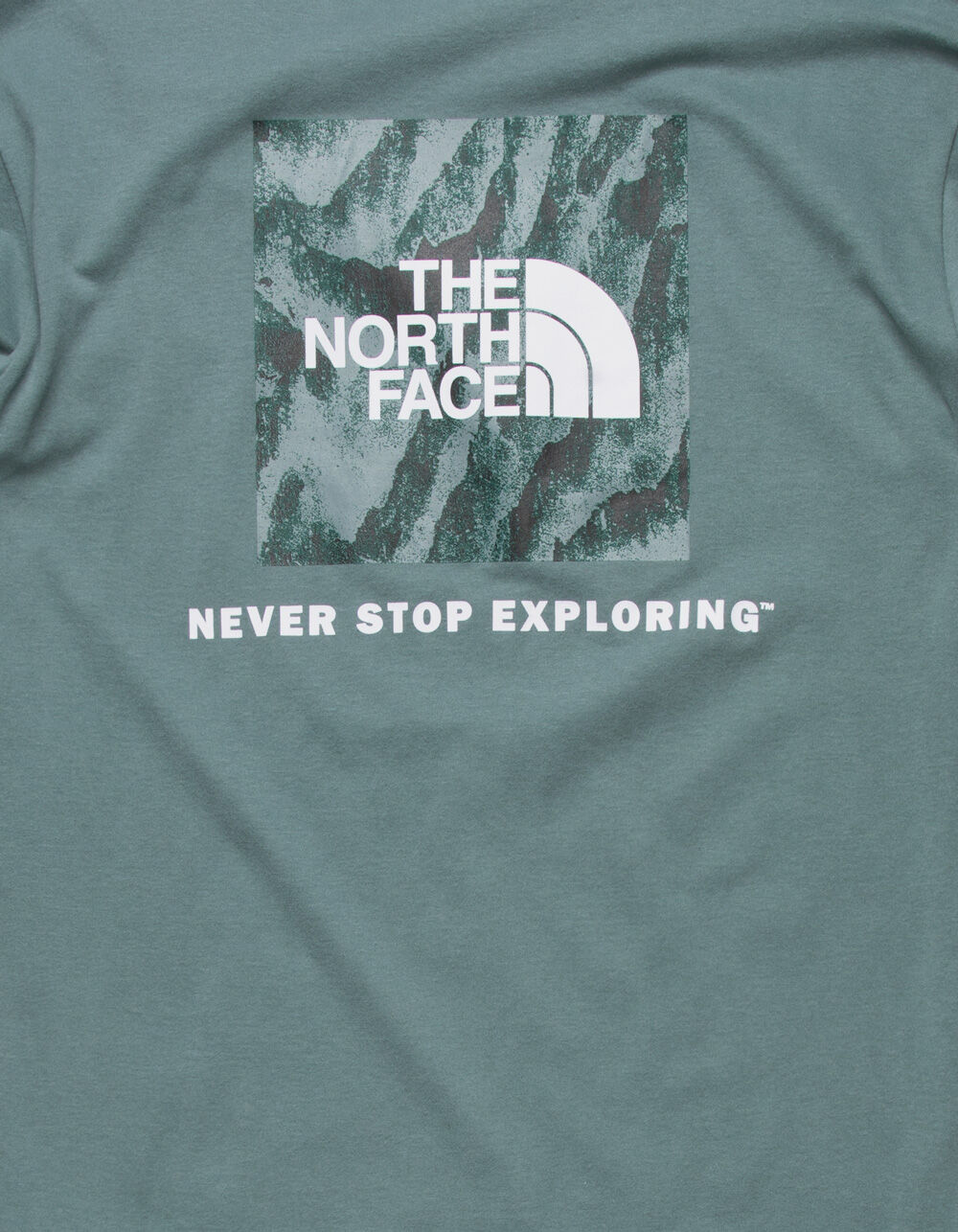 THE NORTH FACE Box NSE Mens Tee - DKGRN | Tillys
