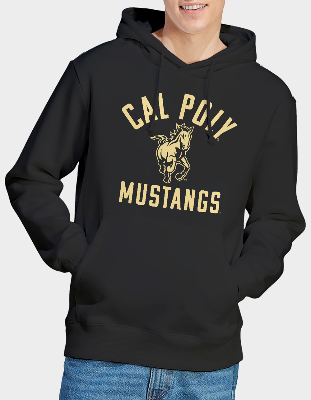 CALIFORNIA POLYTECHNIC STATE UNIVERSITY Logo Mens Hoodie