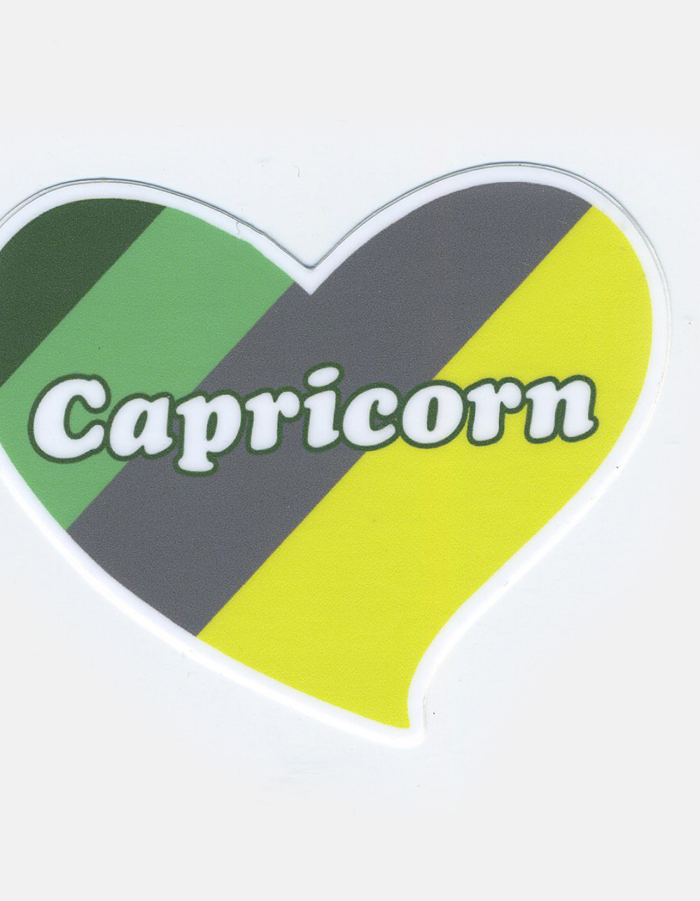 THE FOUND Capricorn Sticker - MULTI