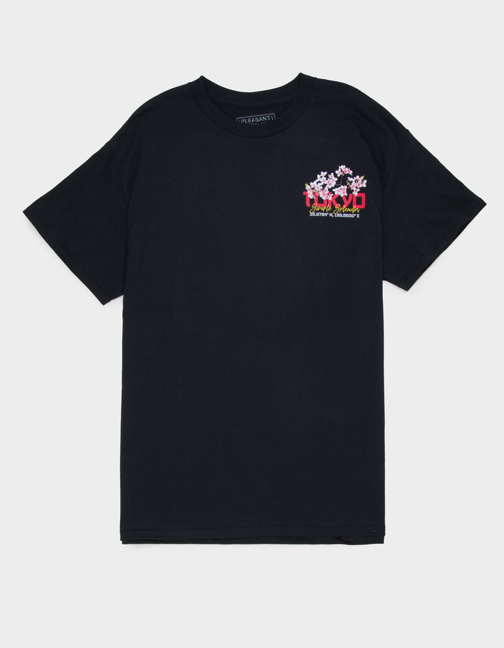 PLEASANT GETAWAY Laidback Mens Tee - WASHED BLACK