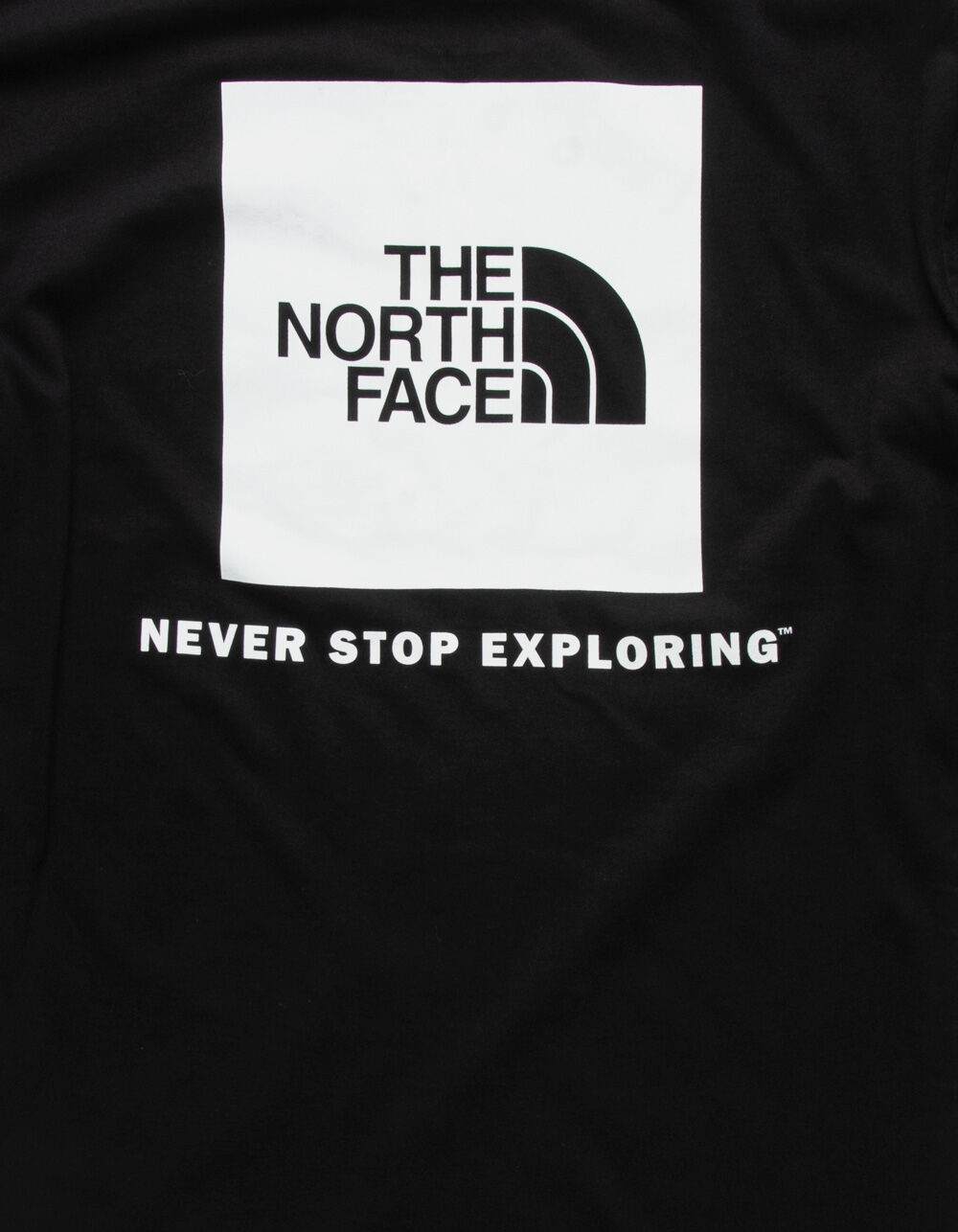 THE NORTH FACE Box NSE Mens T-Shirt - BLACK | Tillys