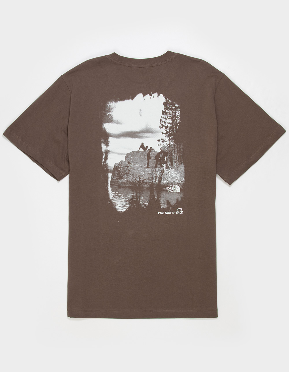THE NORTH FACE Evolution Nature Mens Tee - BROWN
