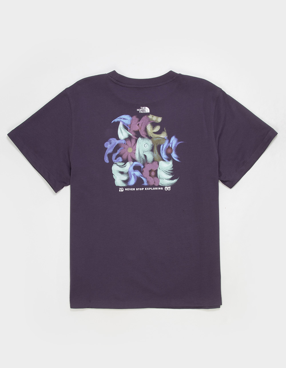 THE NORTH FACE 1966 Mens Tee - DARK GRAY