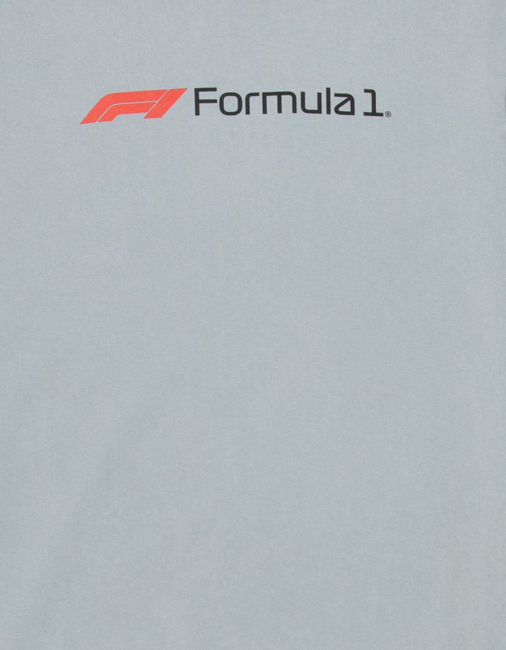 FORMULA 1 Race Track Mens Boxy Tee - GRAY